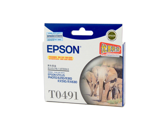 Picture of Epson T0491 Black Ink